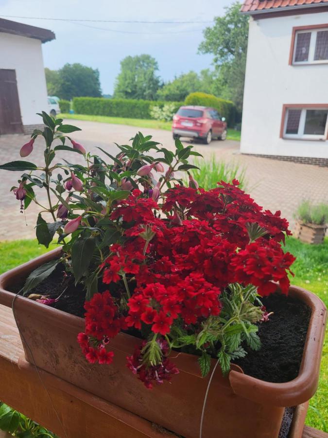Agroturystyka Nad Strumykiem Lesna  Ngoại thất bức ảnh