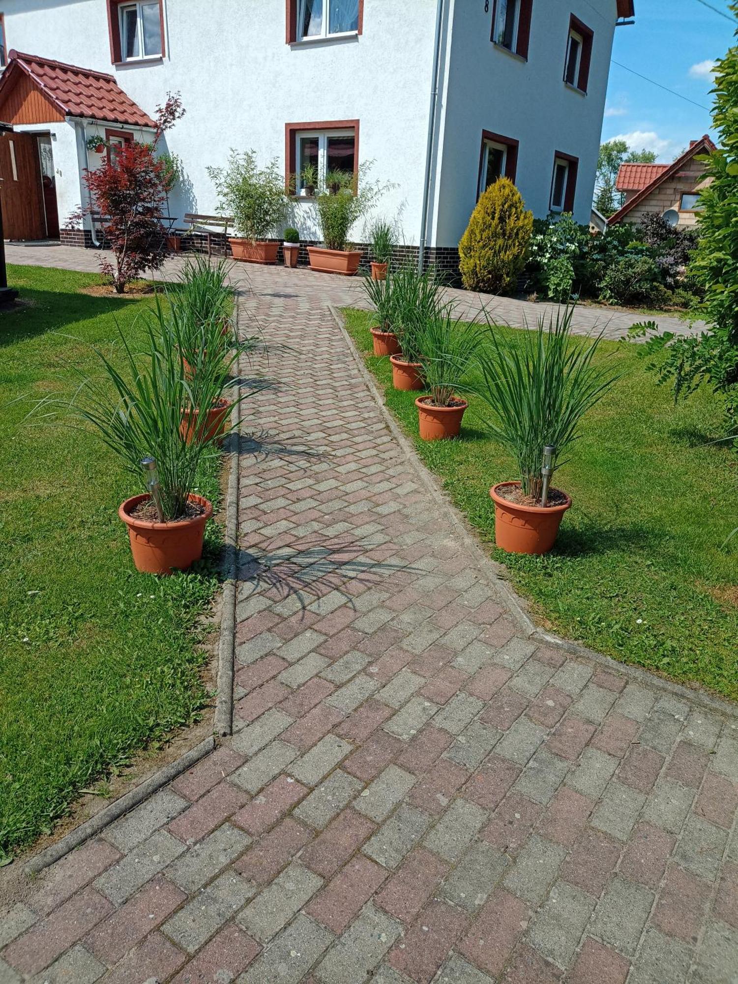 Agroturystyka Nad Strumykiem Lesna  Ngoại thất bức ảnh