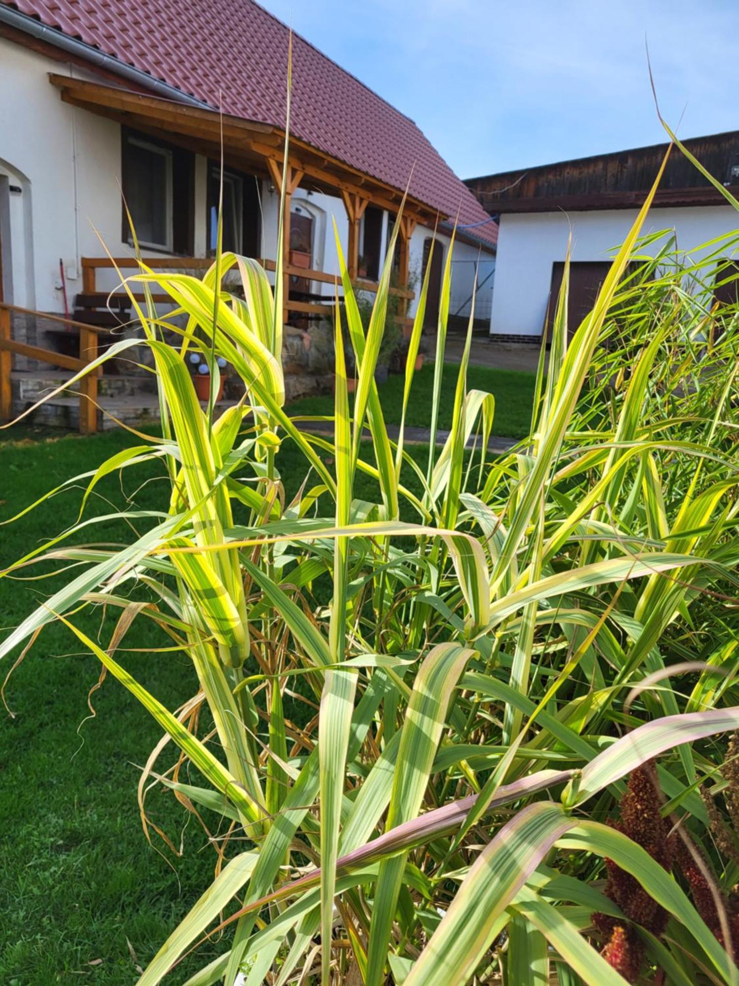 Agroturystyka Nad Strumykiem Lesna  Ngoại thất bức ảnh