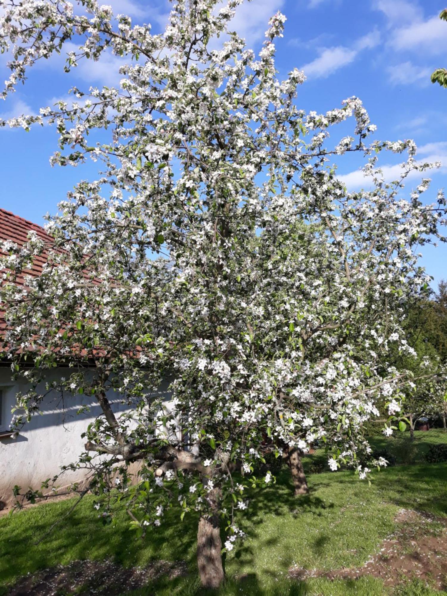 Agroturystyka Nad Strumykiem Lesna  Ngoại thất bức ảnh